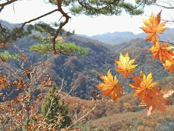 孙溪涵