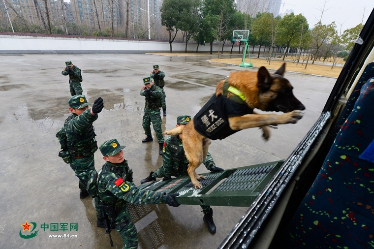 白露：朋友圈一定会看到的“蒹葭苍苍白露为霜”究竟是什么意思？ 